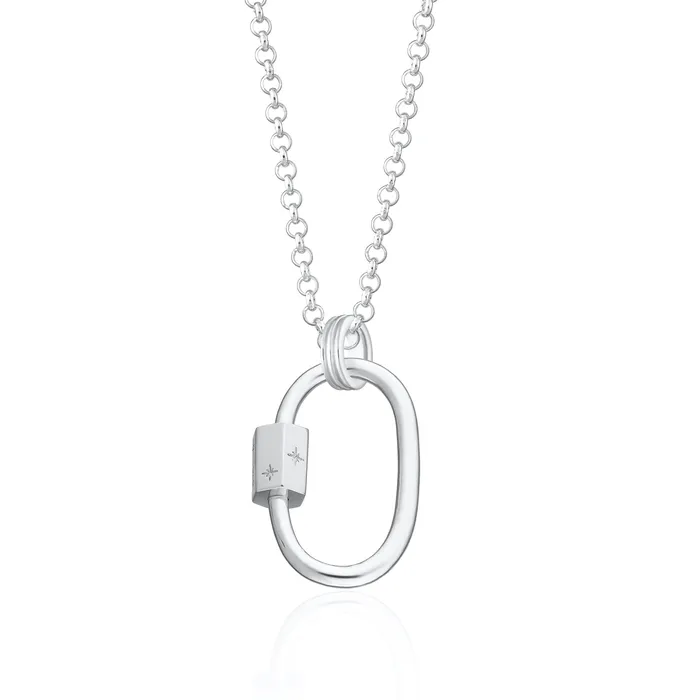 Lily Charmed Necklaces Oval Carabiner Charm Collector Necklace