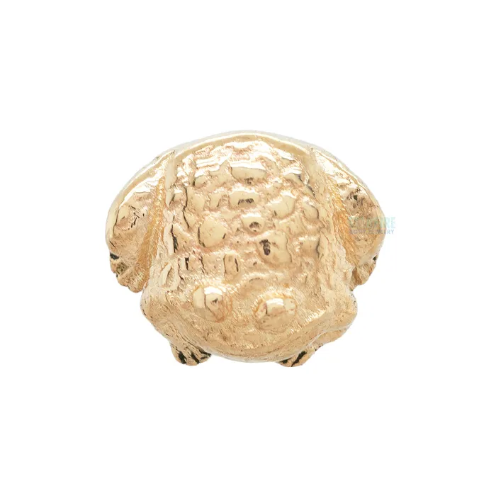 Mushroom Body Jewelry mushroom Earrings threadless Toad End in Gold