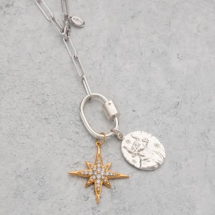 Silver Zodiac Charm Lily Charmed Charm Necklaces