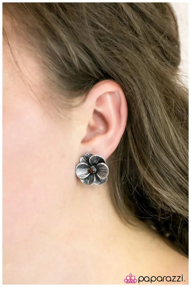 Paparazzi Jewelry Earrings Paparazzi Earring Ella Enchanted Brown