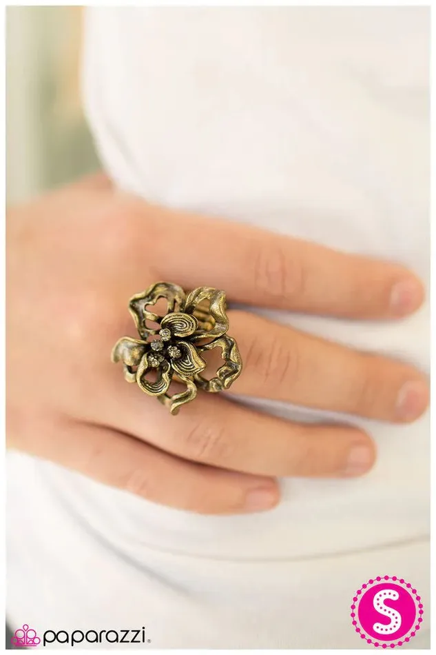 Paparazzi Ring Contemporary Contours Brass Paparazzi Jewelry Rings