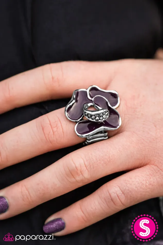 Paparazzi Ring Garden Glow Purple Paparazzi Jewelry Rings