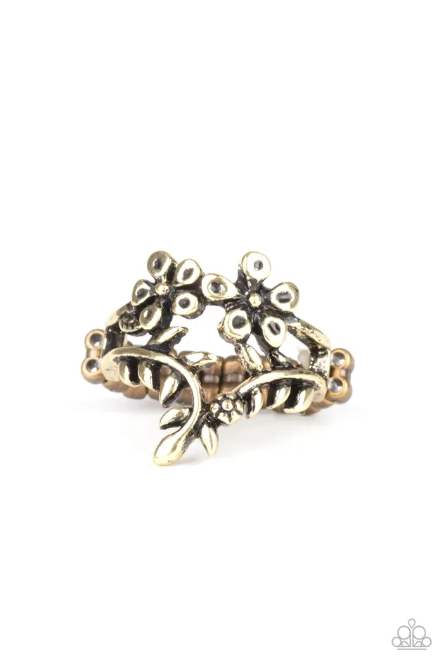 Rings Paparazzi Jewelry Paparazzi Ring Secret Eden Brass
