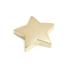 Earrings Bey Berk Bey Berk Gold Plated Star Paperweight