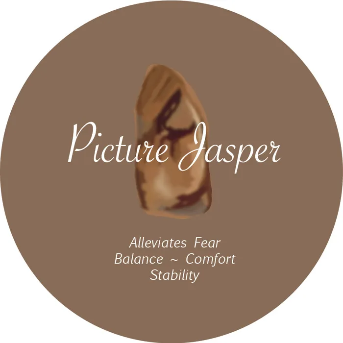 Picture Jasper Crystal Fidget Ring MyCONQUERing Rings